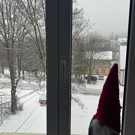 Lv Luxury Apart - One Minute Away From Train Station Predeal Esterno foto
