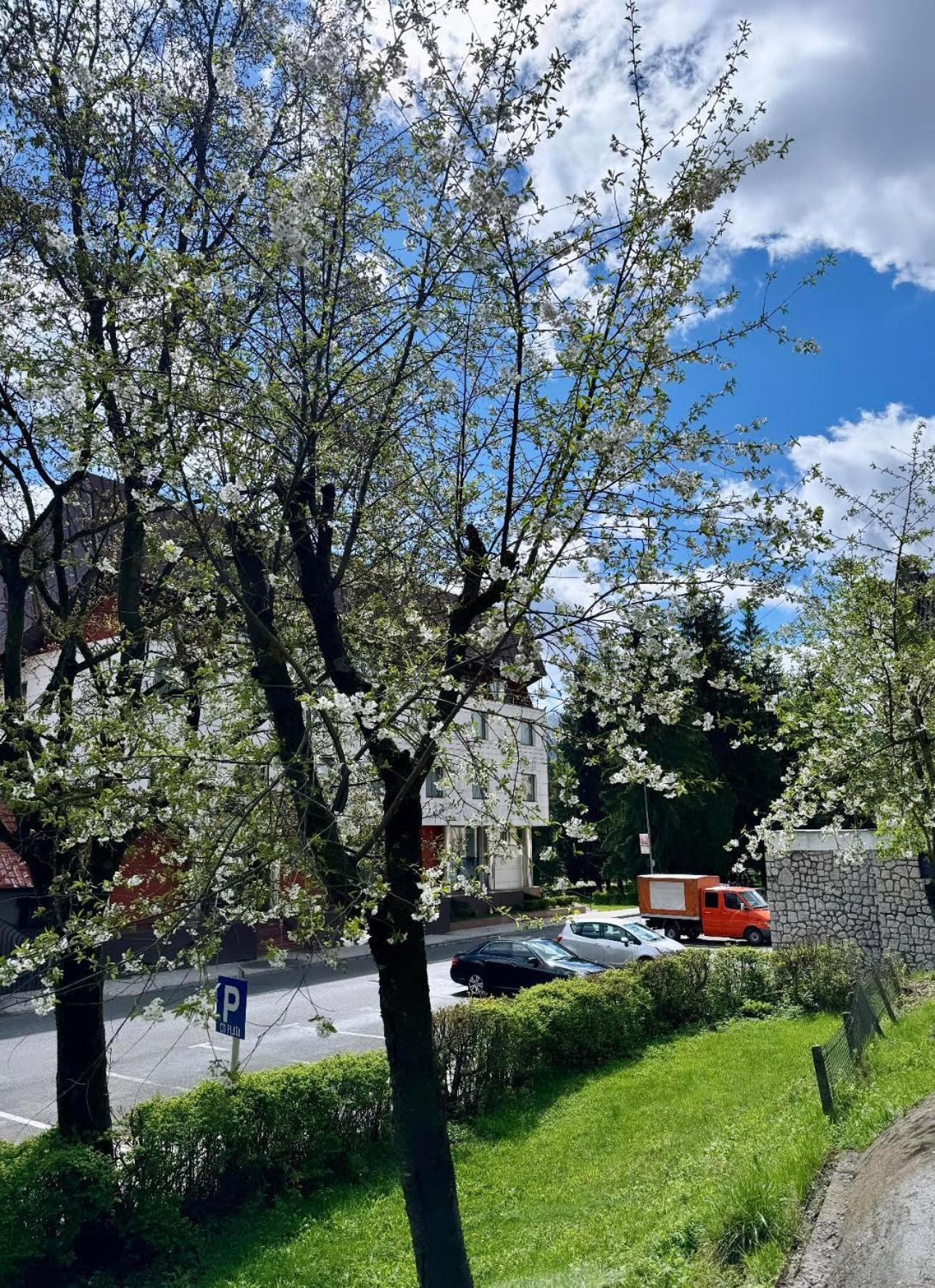 Lv Luxury Apart - One Minute Away From Train Station Predeal Esterno foto